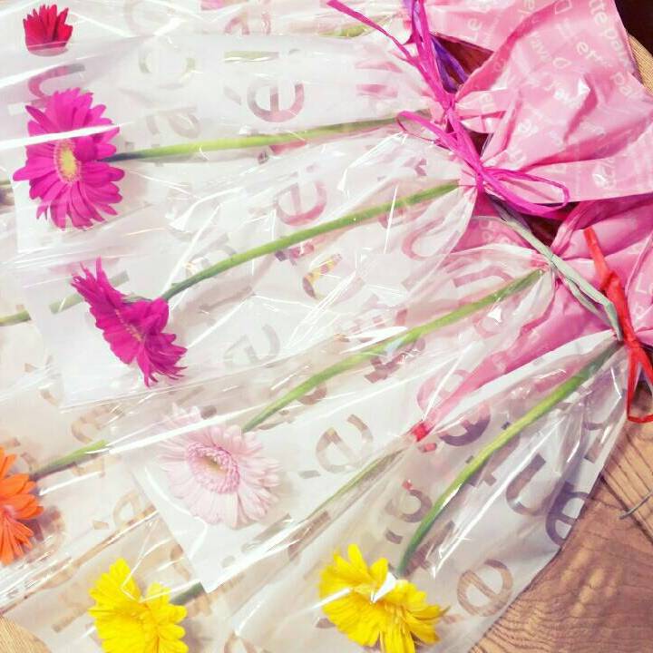 ガーベラの1本巻