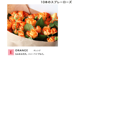熊本阿蘇村上バラ園 ２種類、どちらか選べるバラのギフトイメージ