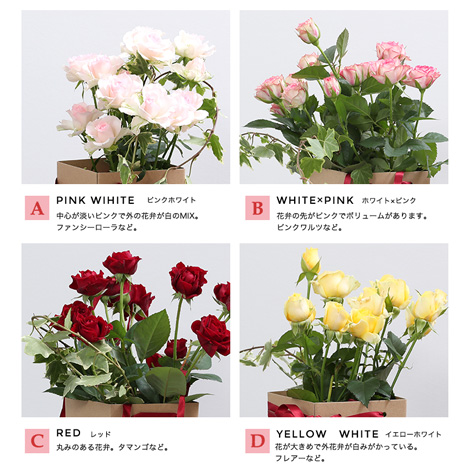 熊本阿蘇村上バラ園 花瓶付スプレーローズイメージ
