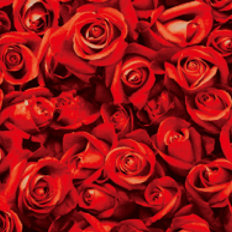 【R-01】100本特別割引 4色から選ぶバラの花束（赤）