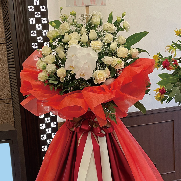 ドレススタンド（L）イメージ