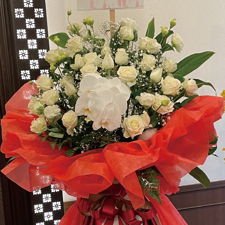 ドレススタンド（L）イメージ