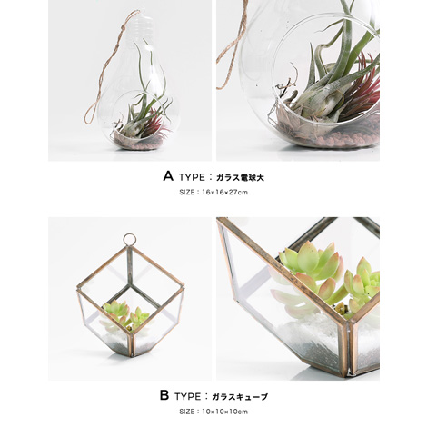多肉植物 選べる4種の花鉢 Lサイズイメージ