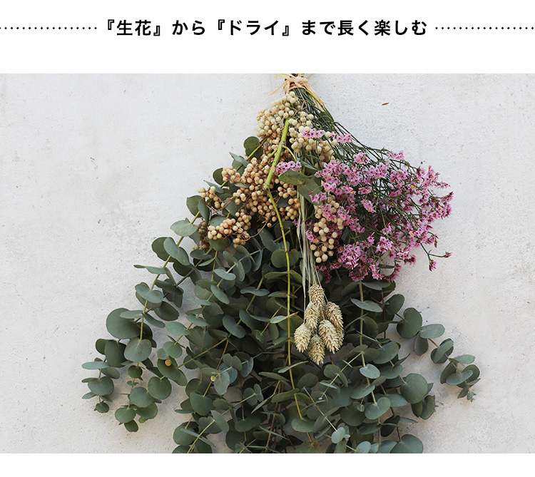 生花から楽しむスワッグ 商品の特徴