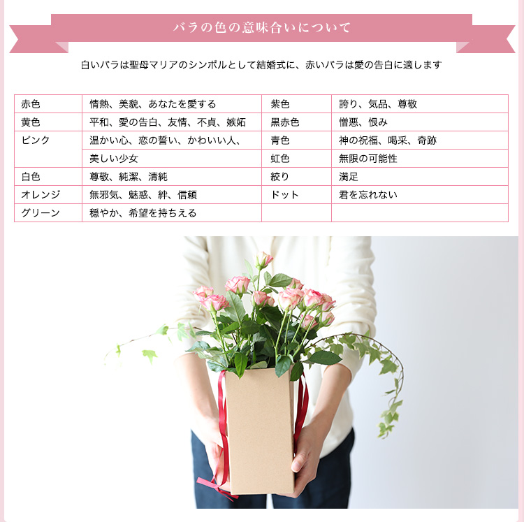 熊本阿蘇村上バラ園 花瓶付スプレーローズ 商品の特徴