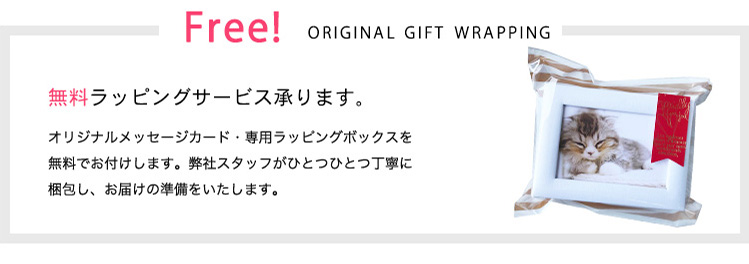 プリザーブドフラワー 写真立て 商品の特徴