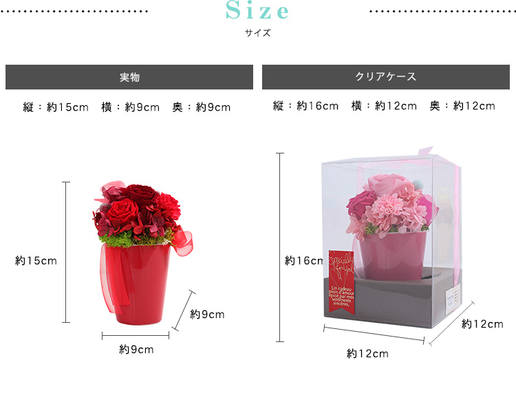 プリザーブドフラワー キャンディーカップ 商品の特徴