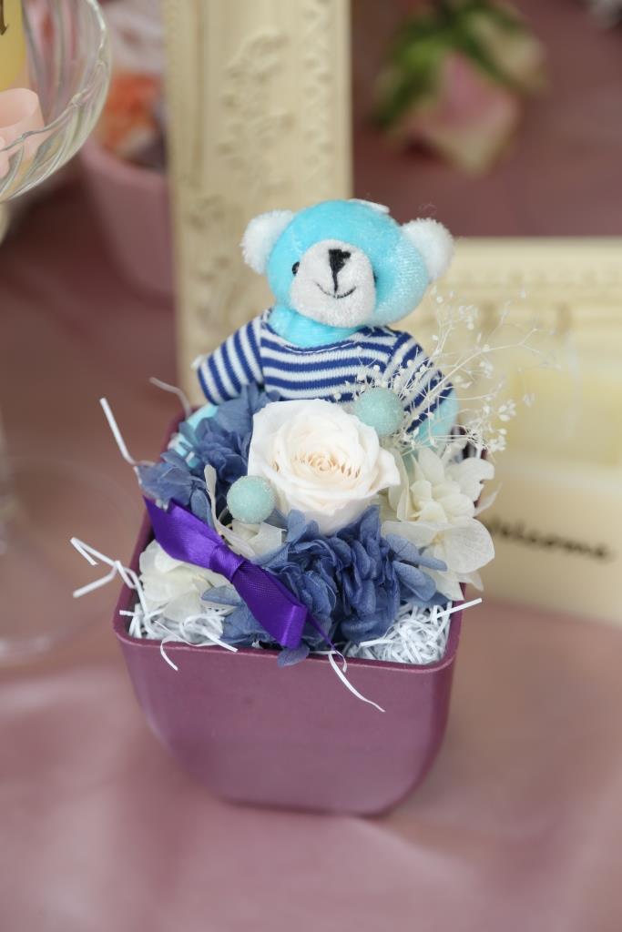 ポップミニラビット(アクア：ボーダー）